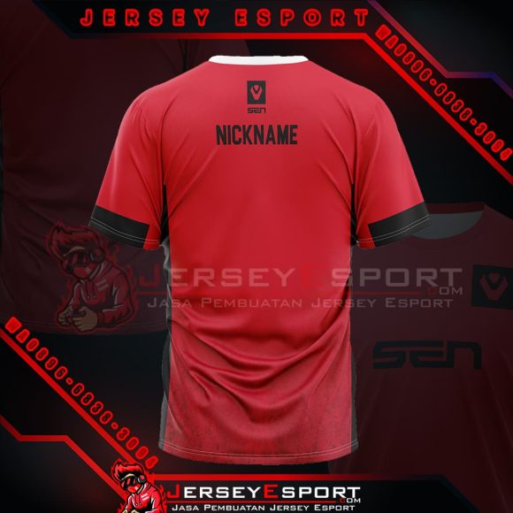 Jasa Pembuatan Jersey Esport Belakang 580x580